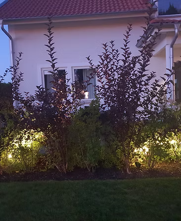 Trädgårdsprojekt